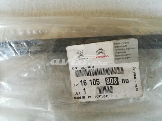 Прокладка лобового стекла на Citroen C-Elysee  