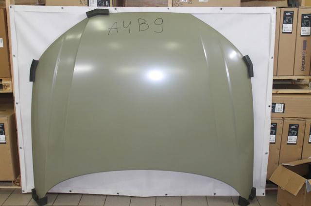 Капот 13D203 Polcar