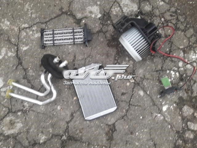 Manguera Del Radiador Del Calentador (Estufa), Doble 7701209820 RENAULT