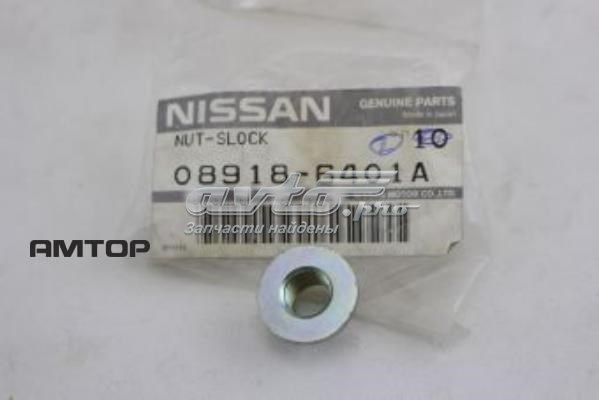  089186401A Nissan