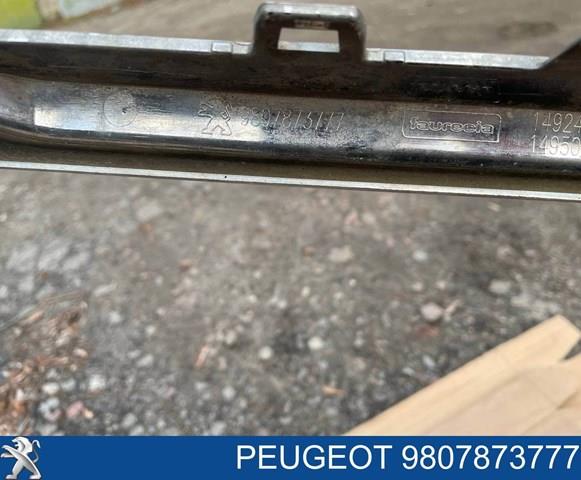  9807873777 Peugeot/Citroen