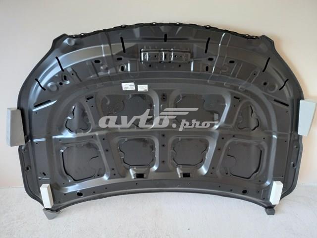 APSB0903A Amparts Капот