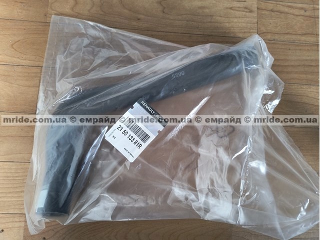 215013381R Renault (RVI) 