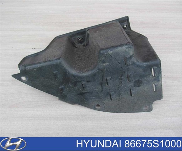  86675S1000 Hyundai/Kia