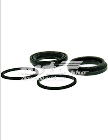  Centric Parts 14366019