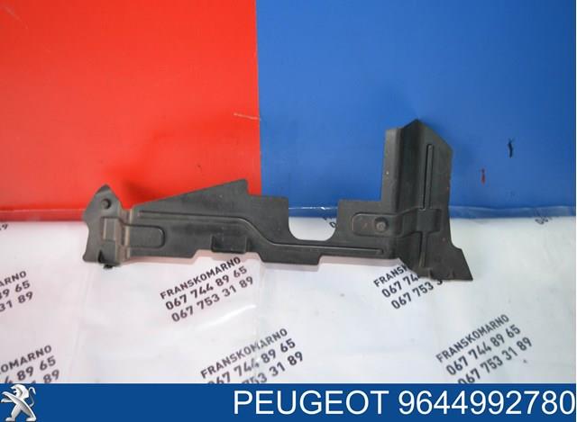 9644992780 Peugeot/Citroen 
