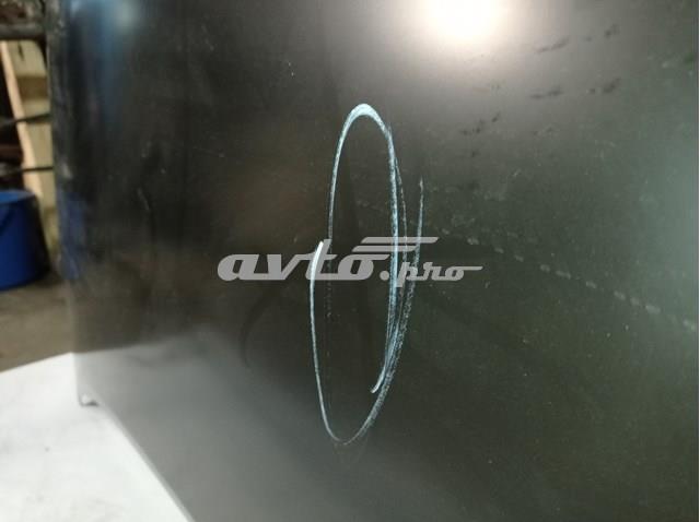 Капот PTY20197A Signeda