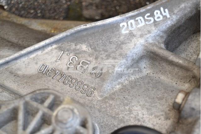 Купить 20DS84 Peugeot/Citroen 