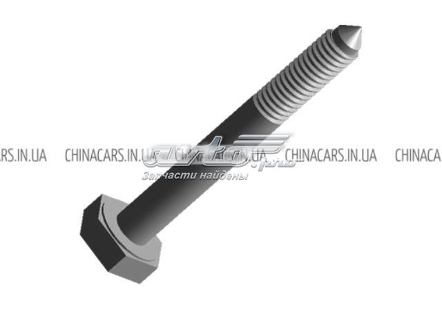 N10023602 Chery Болт крепления заднего нижнего рычага