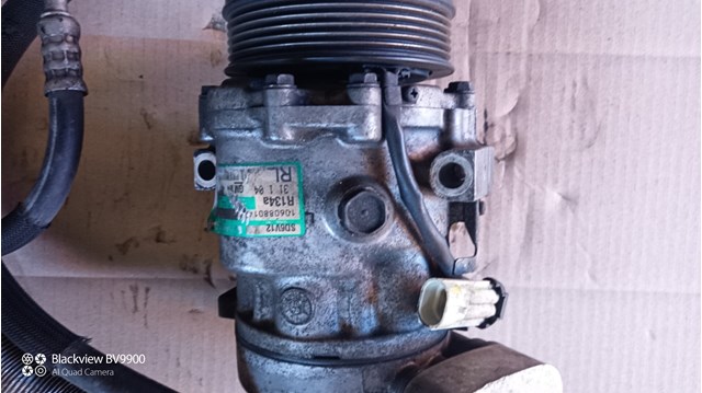 Компрессор кондиционера 24422013 General Motors