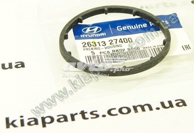  263153A100 Hyundai/Kia