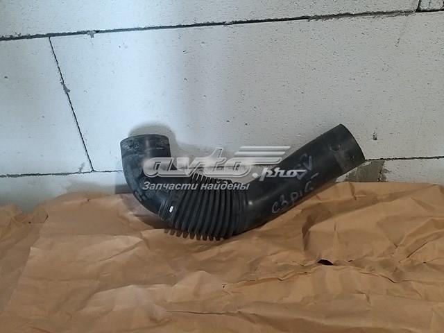 Купить 9684813780 Peugeot/Citroen 