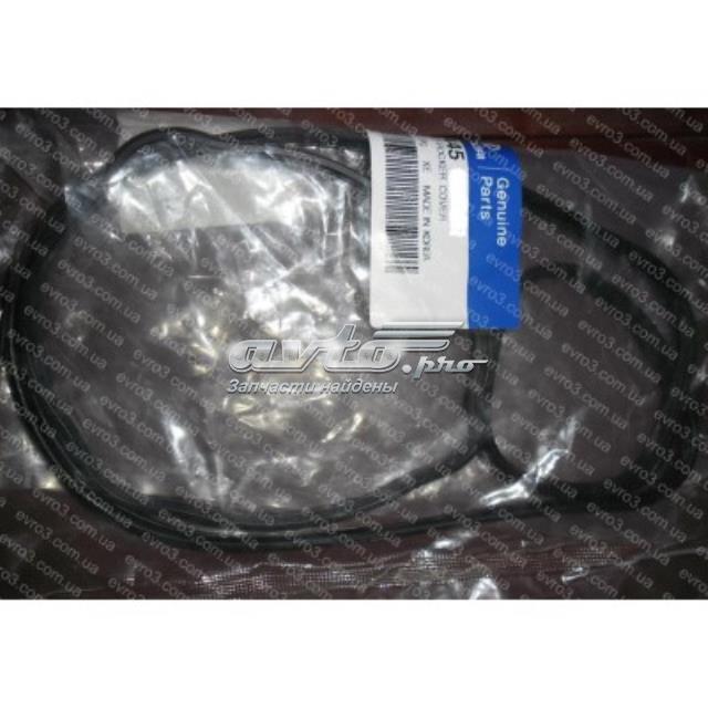 2244541001 Hyundai/Kia Прокладка крышки клапана