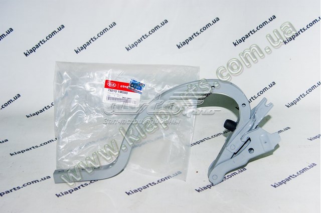Купить 792101M000 Hyundai/Kia Завеса крышки багажника