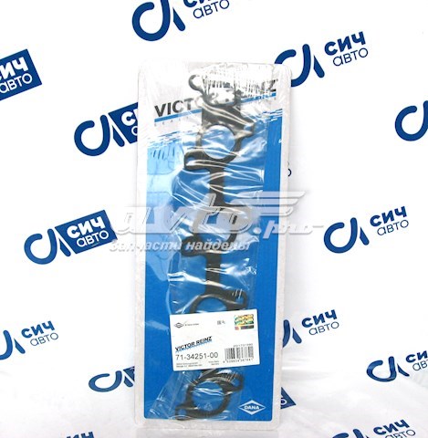 703425100 Victor Reinz Vedante de tubo coletor de escape