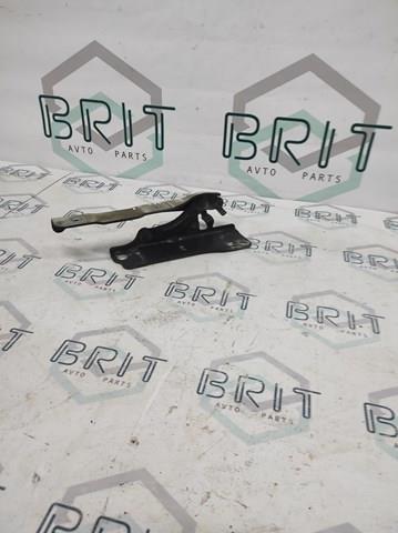 Купить 79120D4010 Hyundai/Kia Завеса капота правая