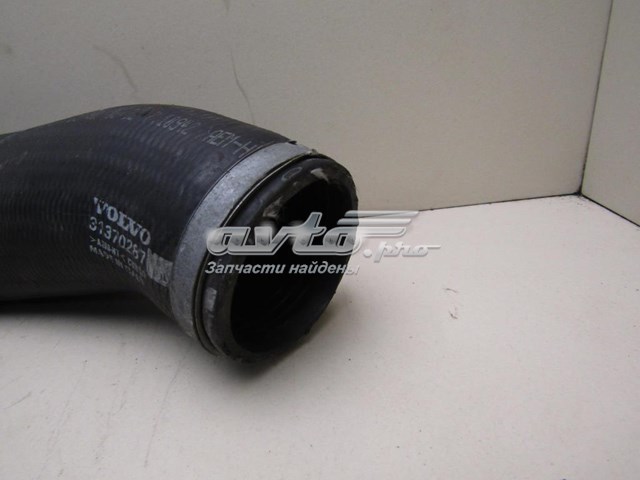 Купить 31370287 Volvo Патрубок интеркулера