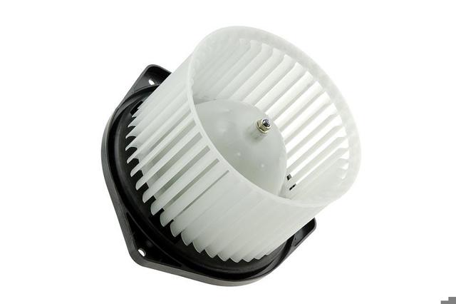 EWNMS000 NTY motor de ventilador de forno (de aquecedor de salão)