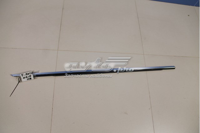  Jaguar T4A12942