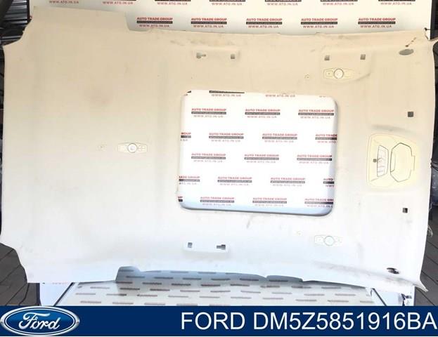  Ford DM5Z5851916BA