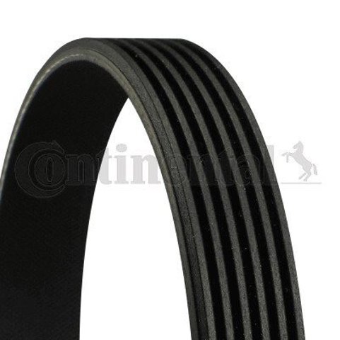 Клиновый ремень Continental/Siemens 6PK2230 цена, от 23.99 USD