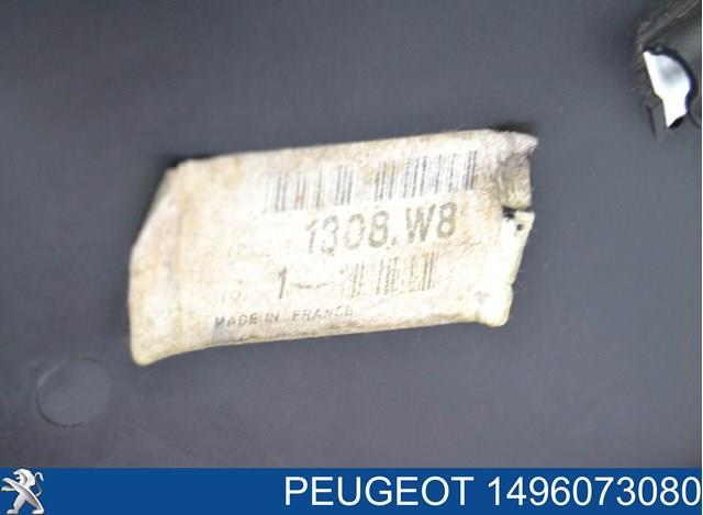 1496073080 Peugeot/Citroen 