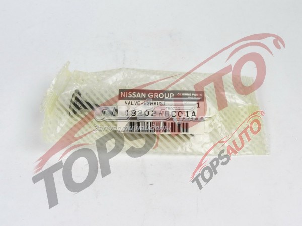 13202BC01A Nissan/Infiniti Выхлопной клапан
