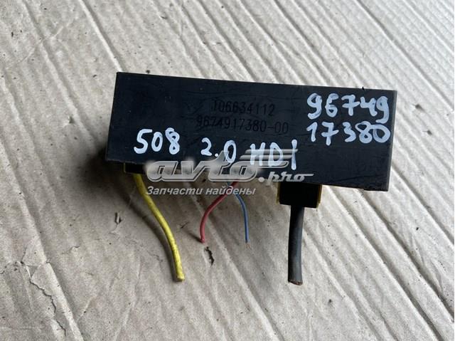 9674917380 Peugeot/Citroen 