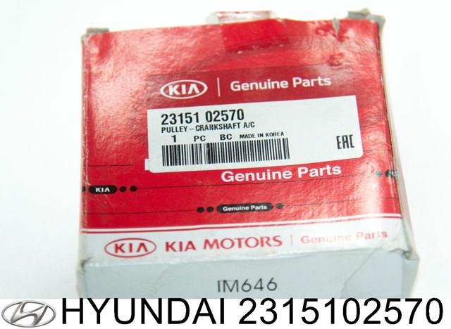 Шкив коленвала 2315102570 Hyundai/Kia