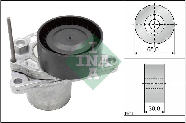 Натяжитель приводного ремня 534062410 Schaeffler Gruppe