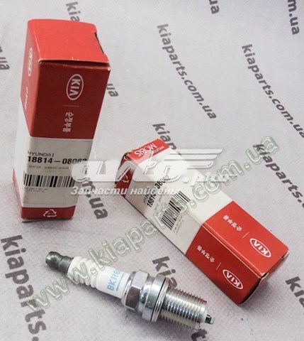 213N22BU00 Hyundai/Kia 