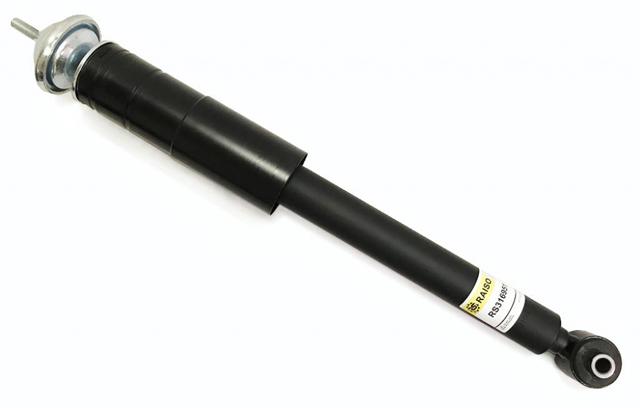 RS316951 Raiso Амортизаторы задние