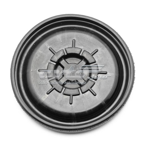 KL32140004 Klifex