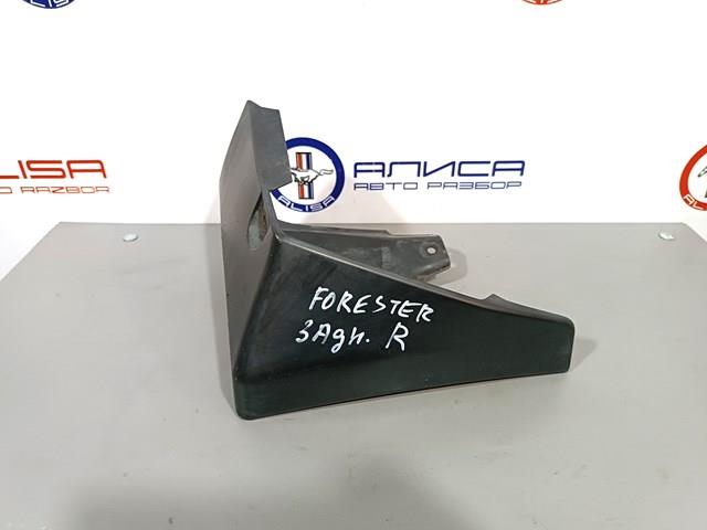 J1017SG255 Subaru Брызговик задний правый