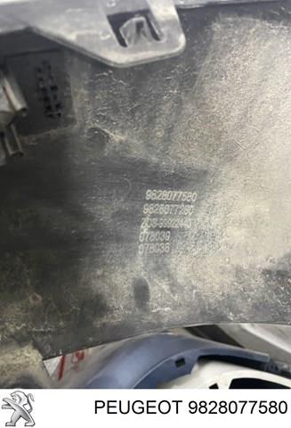 9828077580 Peugeot/Citroen 