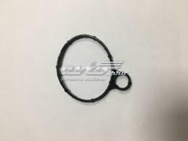 Junta, bomba de vacío 5205980 FORD