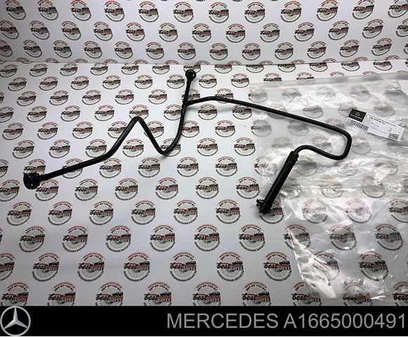  A1665000491 Mercedes