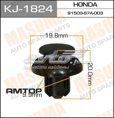 KJ1824 Masuma 