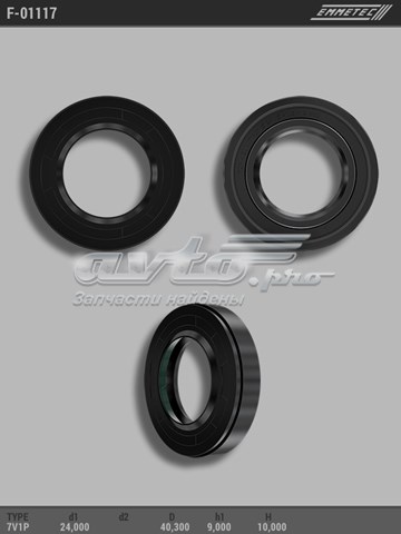  F01117 Emmetec