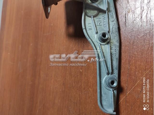 T4A10773 Jaguar 