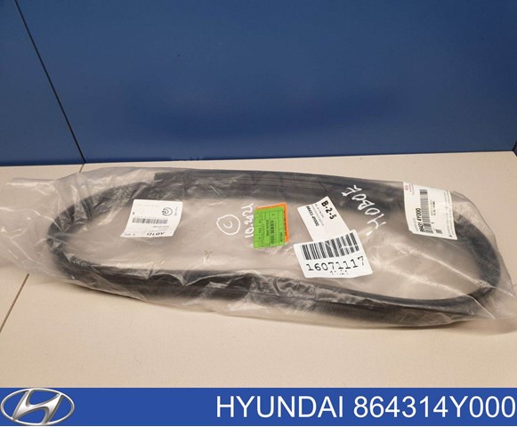 864314Y000 Hyundai/Kia 