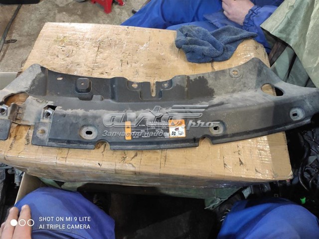 Защита замка капота Ford CJ5416613AC