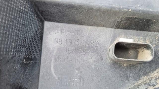 9819738080 Peugeot/Citroen 