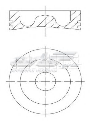  061PI00110000 Mahle Original