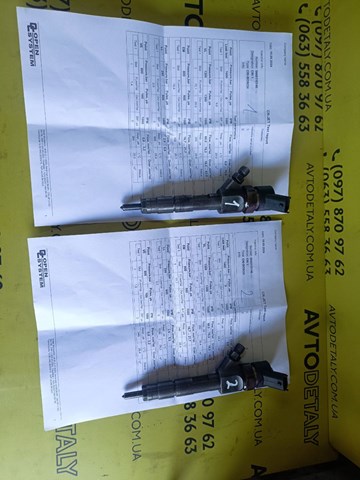 Форсунки Renault (RVI) 0445110146