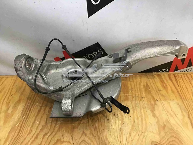 Цапфа (поворотный кулак) передний левый Land Rover LR078377 цена, от 472.33 USD