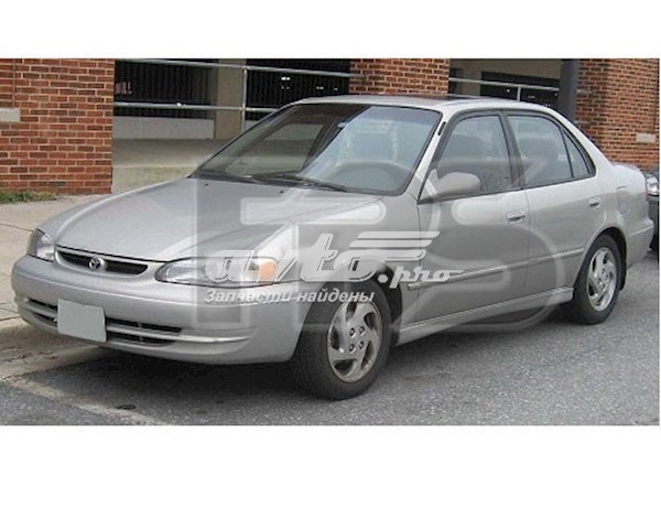 Compre Vidro traseiro Toyota Corolla 