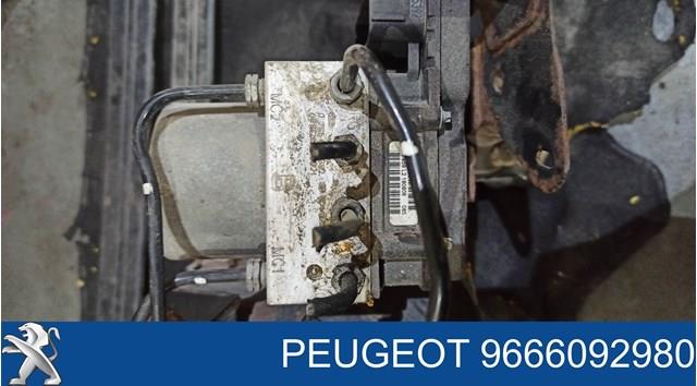9666092980 Peugeot/Citroen 