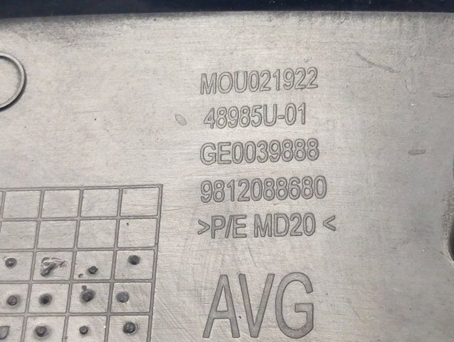 9812088680 Peugeot/Citroen 