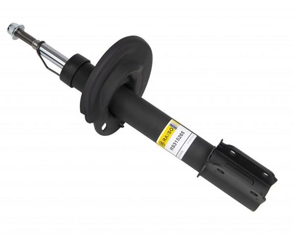 Амортизаторы передние Raiso RS315265